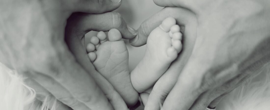 Steadfast Love