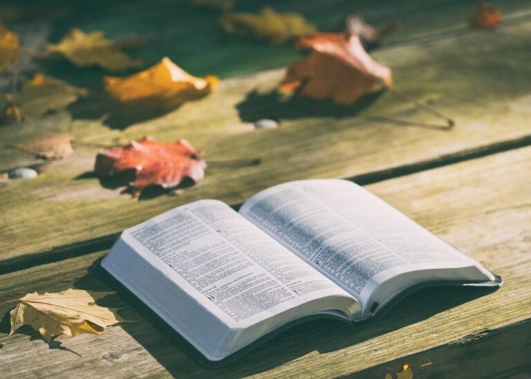 Image of opened bible